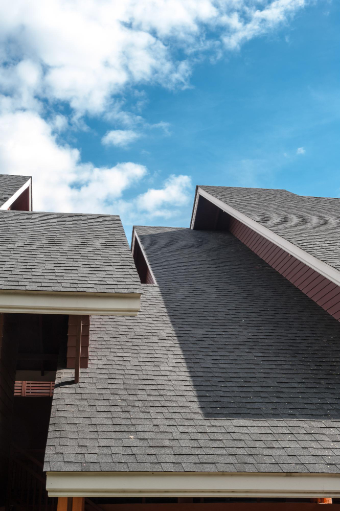 Understanding Roofing: What the Process Truly Involves for Homeowners
